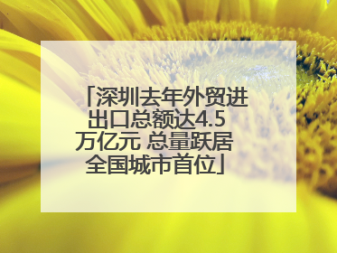 深圳去年外贸进出口总额达4.5万亿元 总量跃居全国城市首位