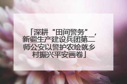 深耕“田间警务”，新疆生产建设兵团第二师公安以警护农绘就乡村振兴平安画卷