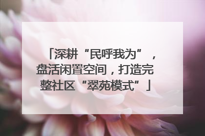 深耕“民呼我为”，盘活闲置空间，打造完整社区“翠苑模式”