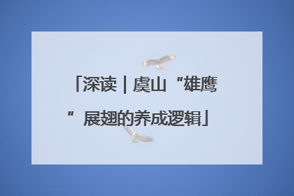 深读｜虞山“雄鹰”展翅的养成逻辑