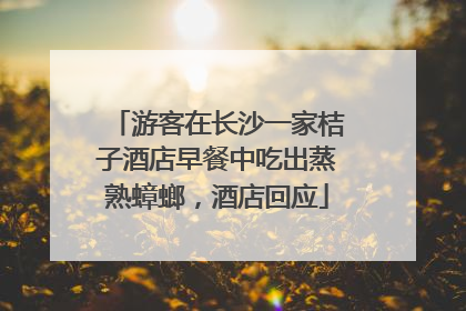 游客在长沙一家桔子酒店早餐中吃出蒸熟蟑螂，酒店回应