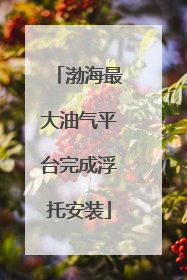 渤海最大油气平台完成浮托安装