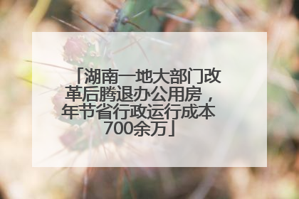 湖南一地大部门改革后腾退办公用房，年节省行政运行成本700余万
