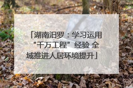 湖南汨罗：学习运用“千万工程”经验 全域推进人居环境提升