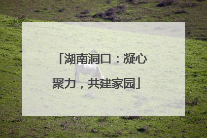 湖南洞口：凝心聚力，共建家园