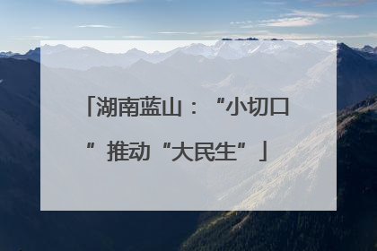 湖南蓝山：“小切口”推动“大民生”