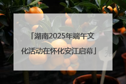 湖南2025年端午文化活动在怀化安江启幕