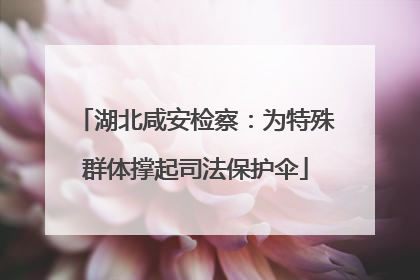 湖北咸安检察：为特殊群体撑起司法保护伞