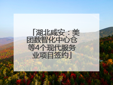 湖北咸安：美团数智化中心仓等4个现代服务业项目签约