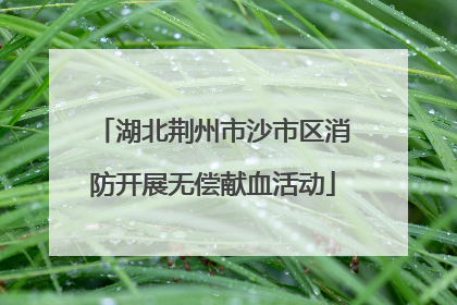湖北荆州市沙市区消防开展无偿献血活动