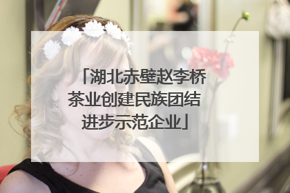 湖北赤壁赵李桥茶业创建民族团结进步示范企业