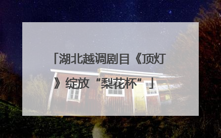 湖北越调剧目《顶灯》绽放“梨花杯”