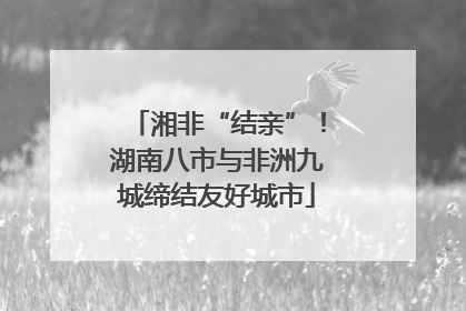 湘非“结亲”！湖南八市与非洲九城缔结友好城市