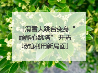 滑雪大跳台变身“顽酷心跳塔” 开拓场馆利用新局面