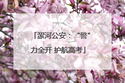 漯河公安：“警”力全开 护航高考