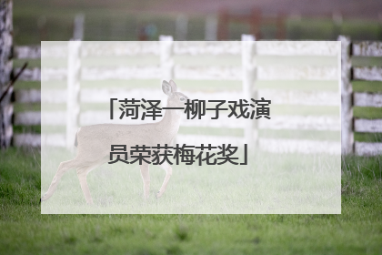 菏泽一柳子戏演员荣获梅花奖