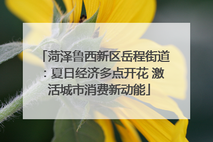 菏泽鲁西新区岳程街道：夏日经济多点开花 激活城市消费新动能
