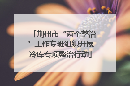 荆州市“两个整治”工作专班组织开展冷库专项整治行动