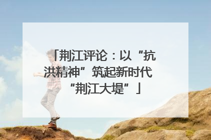 荆江评论：以“抗洪精神”筑起新时代“荆江大堤”