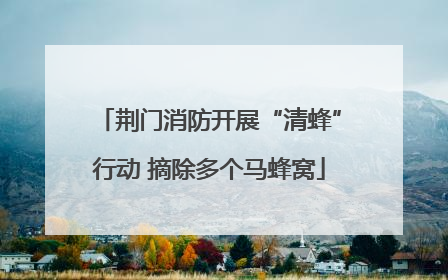 荆门消防开展“清蜂”行动 摘除多个马蜂窝