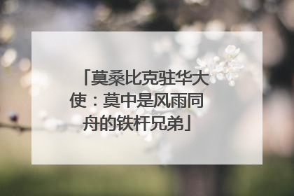 莫桑比克驻华大使：莫中是风雨同舟的铁杆兄弟