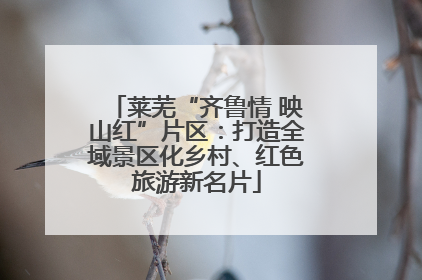 莱芜“齐鲁情 映山红”片区：打造全域景区化乡村、红色旅游新名片