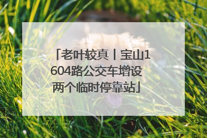 老叶较真丨宝山1604路公交车增设两个临时停靠站