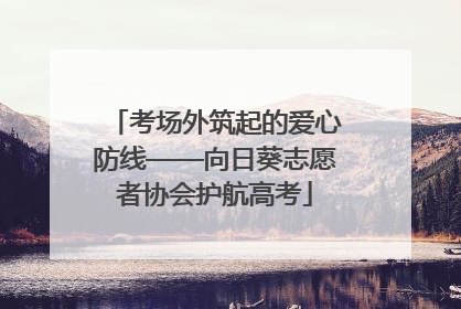 考场外筑起的爱心防线——向日葵志愿者协会护航高考