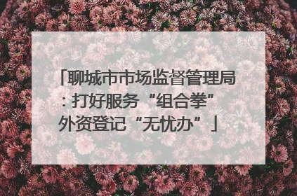 聊城市市场监督管理局：打好服务“组合拳” 外资登记“无忧办”