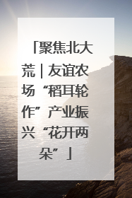 聚焦北大荒｜友谊农场“稻耳轮作”产业振兴“花开两朵”