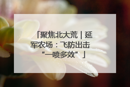 聚焦北大荒｜延军农场：飞防出击 “一喷多效”