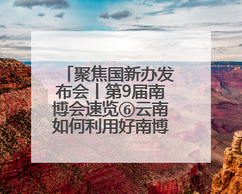 聚焦国新办发布会丨第9届南博会速览⑥云南如何利用好南博会的平台带动作用，深化与南亚国家的交流与合作？