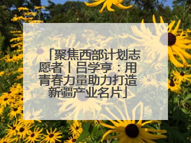 聚焦西部计划志愿者丨吕学亨：用青春力量助力打造新疆产业名片
