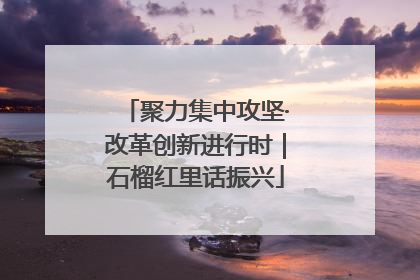 聚力集中攻坚·改革创新进行时｜石榴红里话振兴