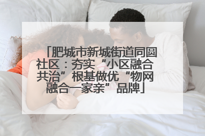 肥城市新城街道同圆社区：夯实“小区融合共治”根基做优“物网融合一家亲”品牌