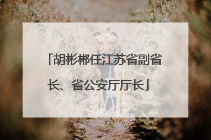 胡彬郴任江苏省副省长、省公安厅厅长
