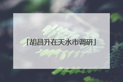 胡昌升在天水市调研