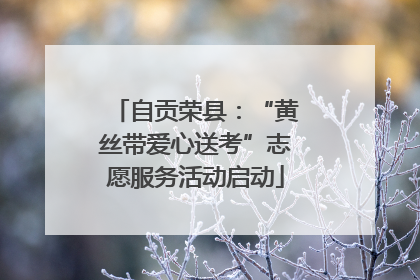 自贡荣县：“黄丝带爱心送考”志愿服务活动启动