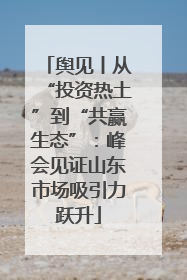 舆见丨从“投资热土”到“共赢生态”：峰会见证山东市场吸引力跃升