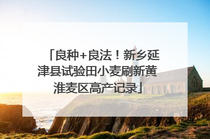 良种+良法！新乡延津县试验田小麦刷新黄淮麦区高产记录