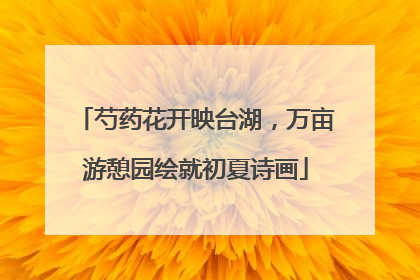 芍药花开映台湖，万亩游憩园绘就初夏诗画