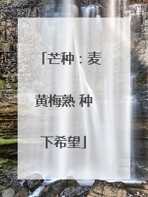 芒种：麦黄梅熟 种下希望