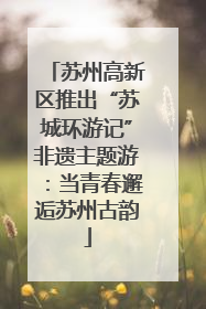 苏州高新区推出“苏城环游记”非遗主题游：当青春邂逅苏州古韵