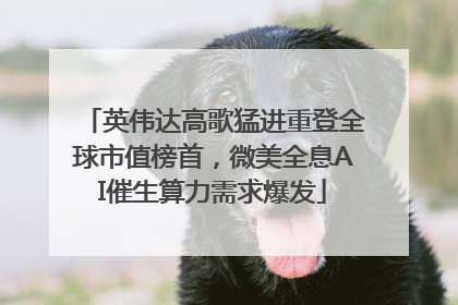 英伟达高歌猛进重登全球市值榜首，微美全息AI催生算力需求爆发