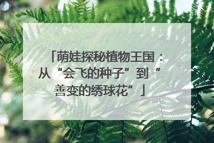 萌娃探秘植物王国：从“会飞的种子”到“善变的绣球花”