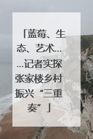 蓝莓、生态、艺术……记者实探张家楼乡村振兴“三重奏”