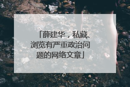 薛建华，私藏、浏览有严重政治问题的网络文章