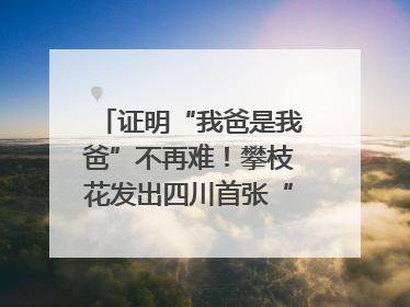 证明“我爸是我爸”不再难！攀枝花发出四川首张“户籍人口直系亲属关系谱”
