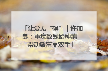让爱无“碍”｜许加良：重疾致残始种藕 带动致富靠双手