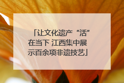 让文化遗产“活”在当下 江西集中展示百余项非遗技艺